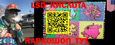 мет Кингисепп