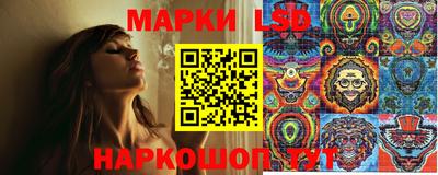 мет Кингисепп