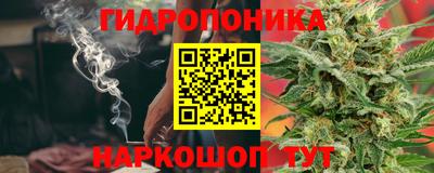 мет Кингисепп